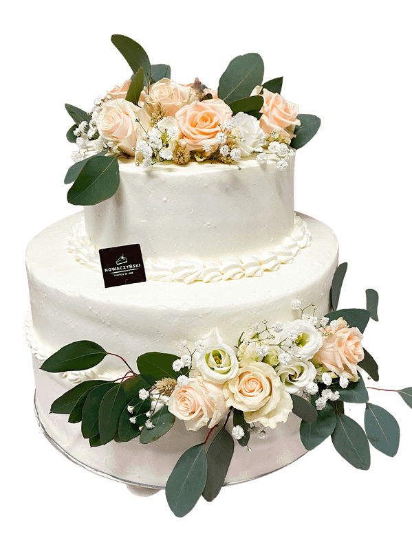 width_599 (2) width_599 (2)